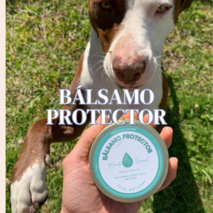 Balsamo protector huellas perros