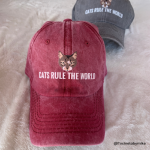 CATS RULE THE WORLD COLOMBIA