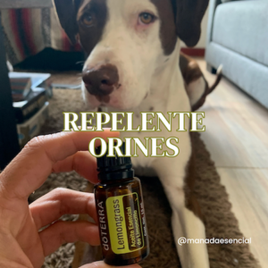 repelente orines natural mascotas